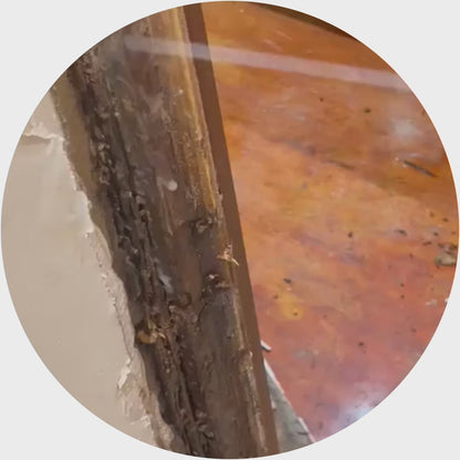 Monster Termite Killer
